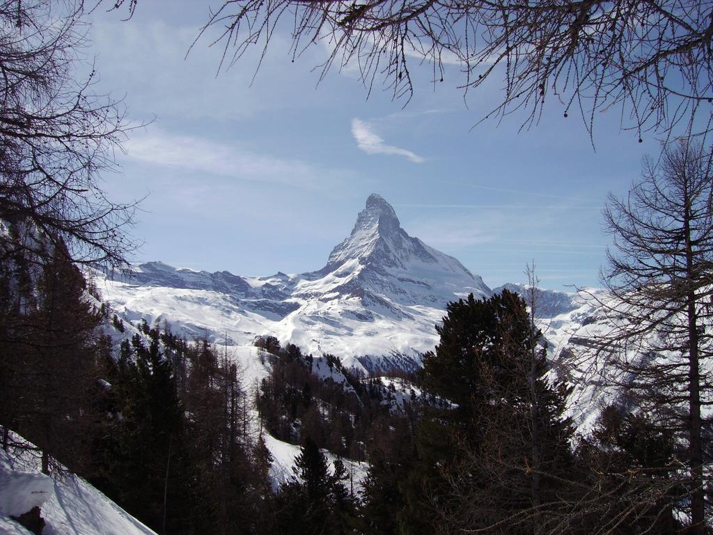 Hotel Alfa Zermatt Eksteriør bilde